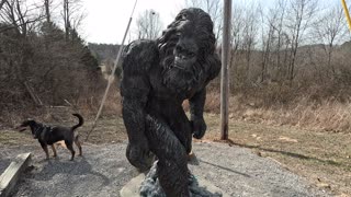 Found Bigfoot in Shawnee National Forest!