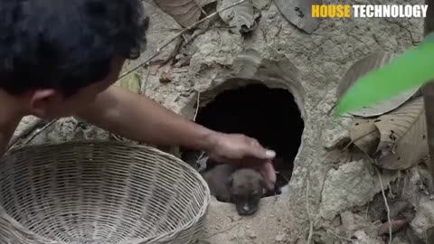 "Daring Doggy Rescue Mission - Heartwarming Act of Courage!"