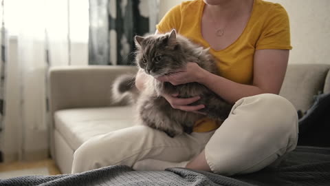 Woman Sitting On Sofa Petting Her Cute Cat