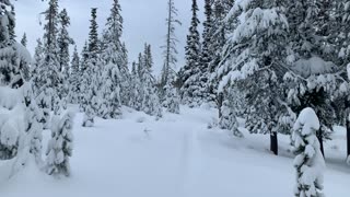 Rigorous & Vigorous Morning Snowshoe – Central Oregon – Vista Butte Sno-Park – 4K