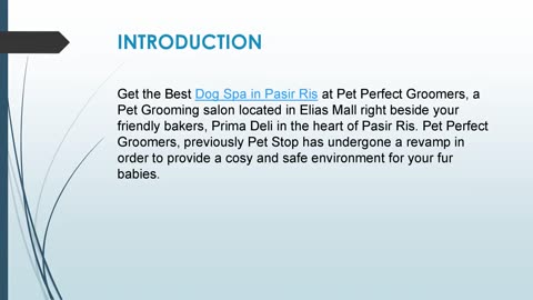 Get the Best Dog Spa in Pasir Ris