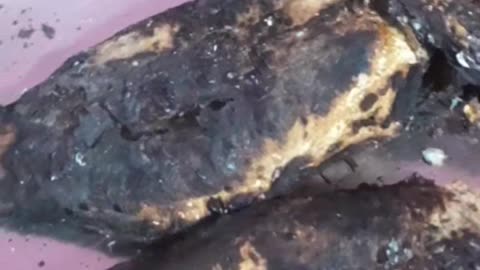 Dry Mackerel (Goan Seafood)