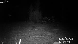12/22/22 COON