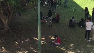 Dog Fleeing Hoop Bumps Into Student