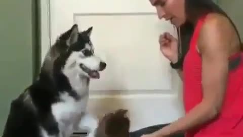 training puppy