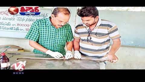 Wounded Cobra Undergoes Spinal Cord Surgery | Teenmaar News | V6 News