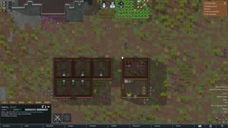 Rimworld tester upload