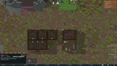 Rimworld tester upload