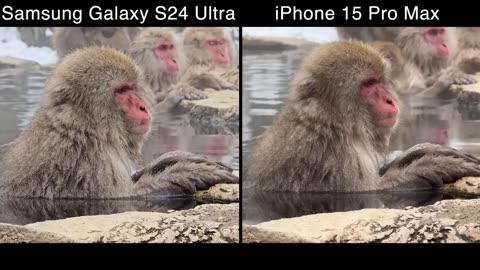 The King of Android..._ Galaxy S24 Ultra (Japan 4K Video Test)