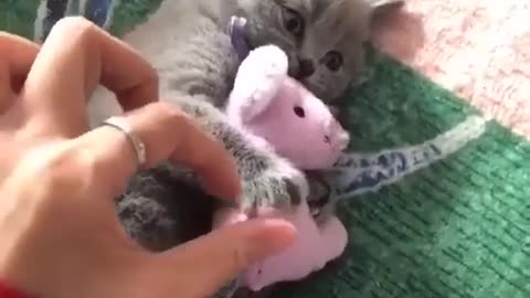 Don't Touch My Toy 😅