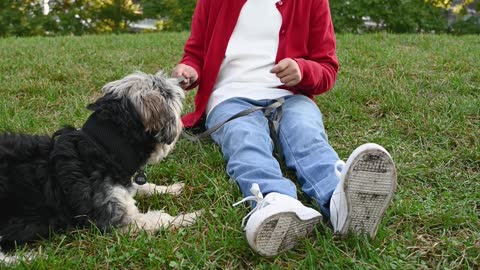 Kid Sitting on Grass with a Dog