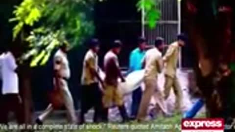 White tiger attack schoolboy in New Delhi zoo