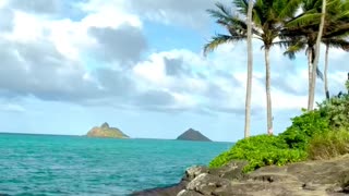 Beautiful beach in Hawaii 🏝