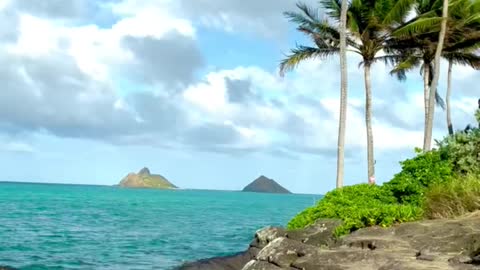 Beautiful beach in Hawaii 🏝