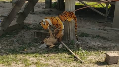 Fake tiger 🐅 with dog prank | funny animalvideo9814