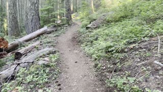 Ascending the Lower Forest of Crescent Mountain Trail – Central Oregon – 4K