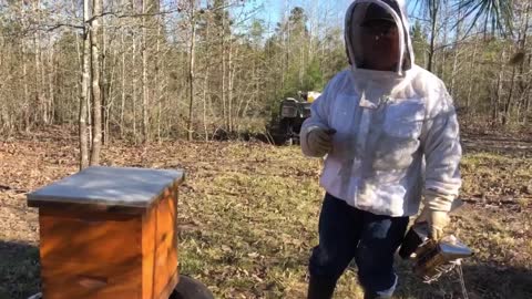 First Hive Inspection After the 2021 "Big Texas Freeze"