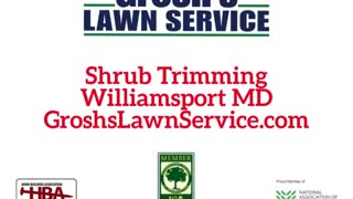 Shrub Trimming Williamsport MD Landscaping Contractor