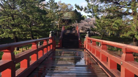 朝の日本庭園