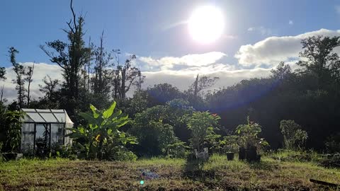 Homestead Hyperlapse