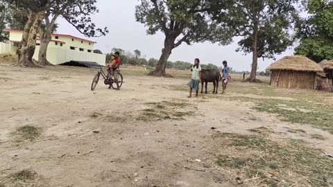 Daily routine village life in India _country life | Real Life in Indian Village