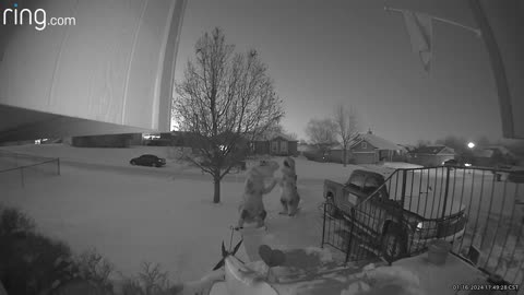 Security Camera Catches T-Rexes Playing in the Snow