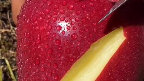 #Amazing Fruits#short video