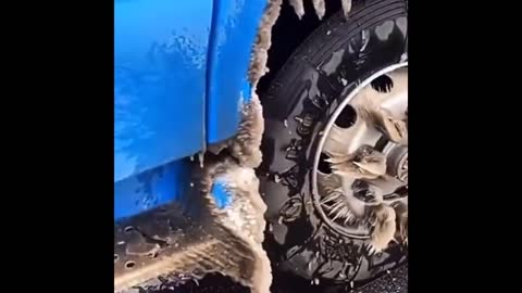Completely frozen truck tires