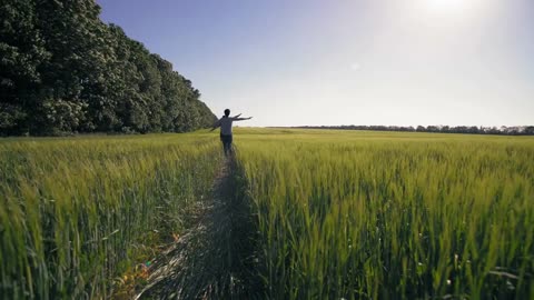 Man woman and dog running at the field with green plant rear back view