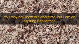 Bee Farmer