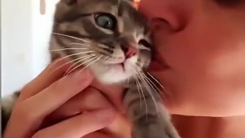 Love your cat | cat kissing