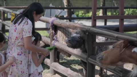 or learn her daughter feeding animals ام تعلم ابنتها اطعام الحيوان