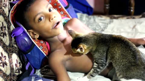 little boy breastfeeding cat