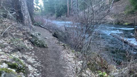 Paralleling Our Friend Metolius River – Central Oregon