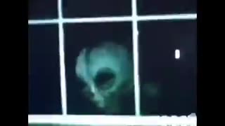 Alien Peeking Through The Window