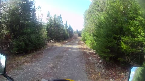 Riding forgotten logging roads In The Far North MY FIRST MOTO VLOG