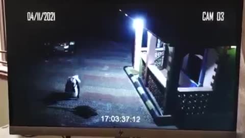 Time Travel Evidence Captured by CCTV