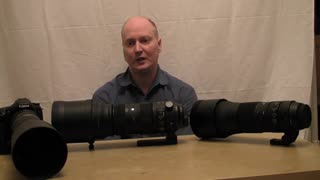 Sigma and Tamron 150-600mm lens review with 200% examples