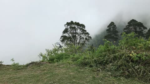 Beautiful Foggy Mountain in Sri Lanka