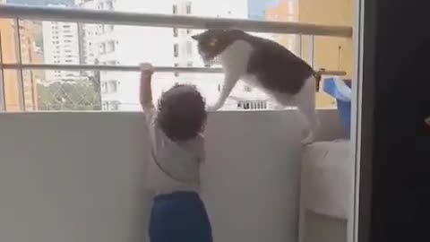 Cat trying to avoid the child to climb on bolcony grill