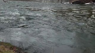 River in Alaska, MI - Natural White Noise