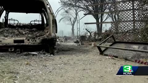 VIDEO: Puppy rescued from Northern California wildfire rubble