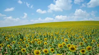 Time lapse: Stunning countryside landscapes in Spain