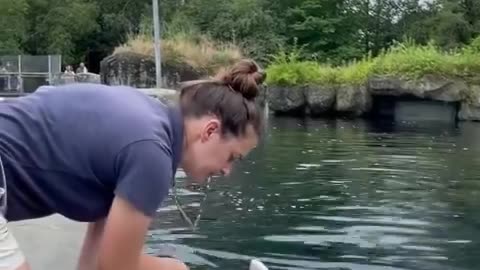 This rescue beluga whale is the cutest! Like a cartoon!😂