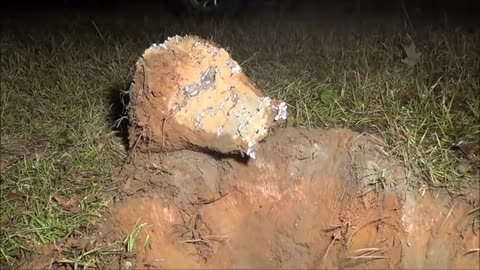 Molten Aluminum Casted On An Ant Colony