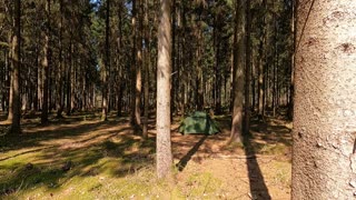 Walk In the woods came across a tent.