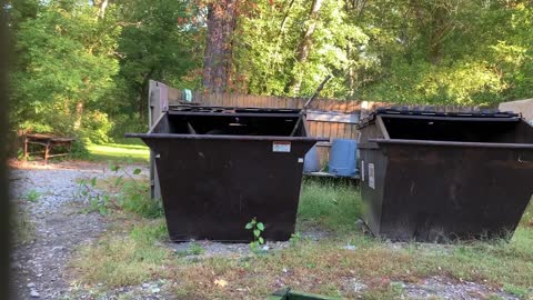 Raccoon Rescued from Empty Dumpster