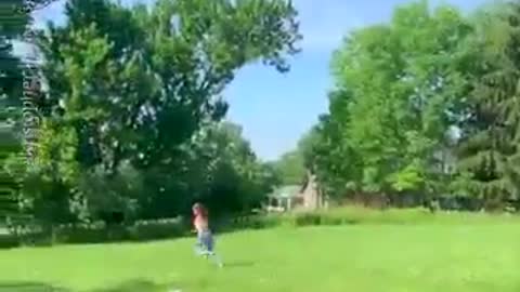 rooster leaves the farm's chicken coop to try to catch the woman to peck