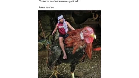 Chorei de rir!!