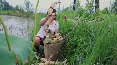 Lotus Root 蓮藕的花